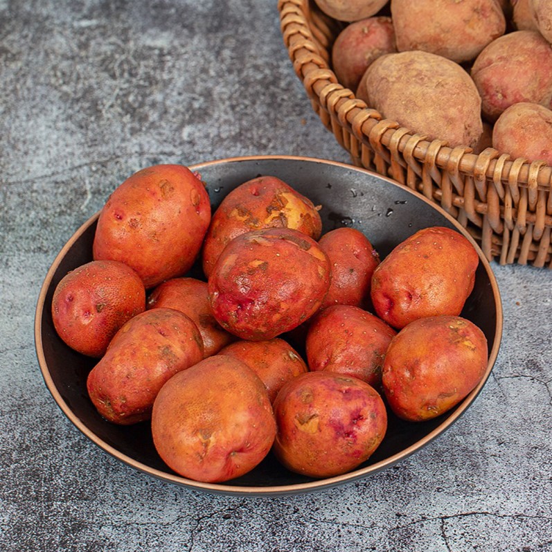홍감자 카스테라 감자 햇감자 빨간감자 2kg 3kg 5kg