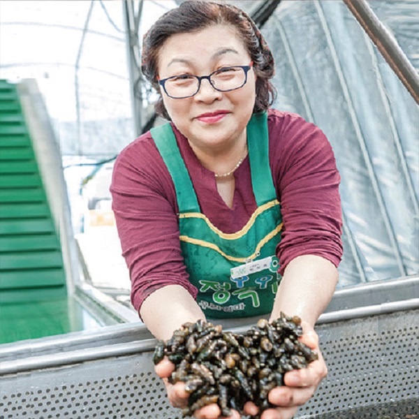 어부가 직접잡은 자연산 생다슬기 1kg 왕특대