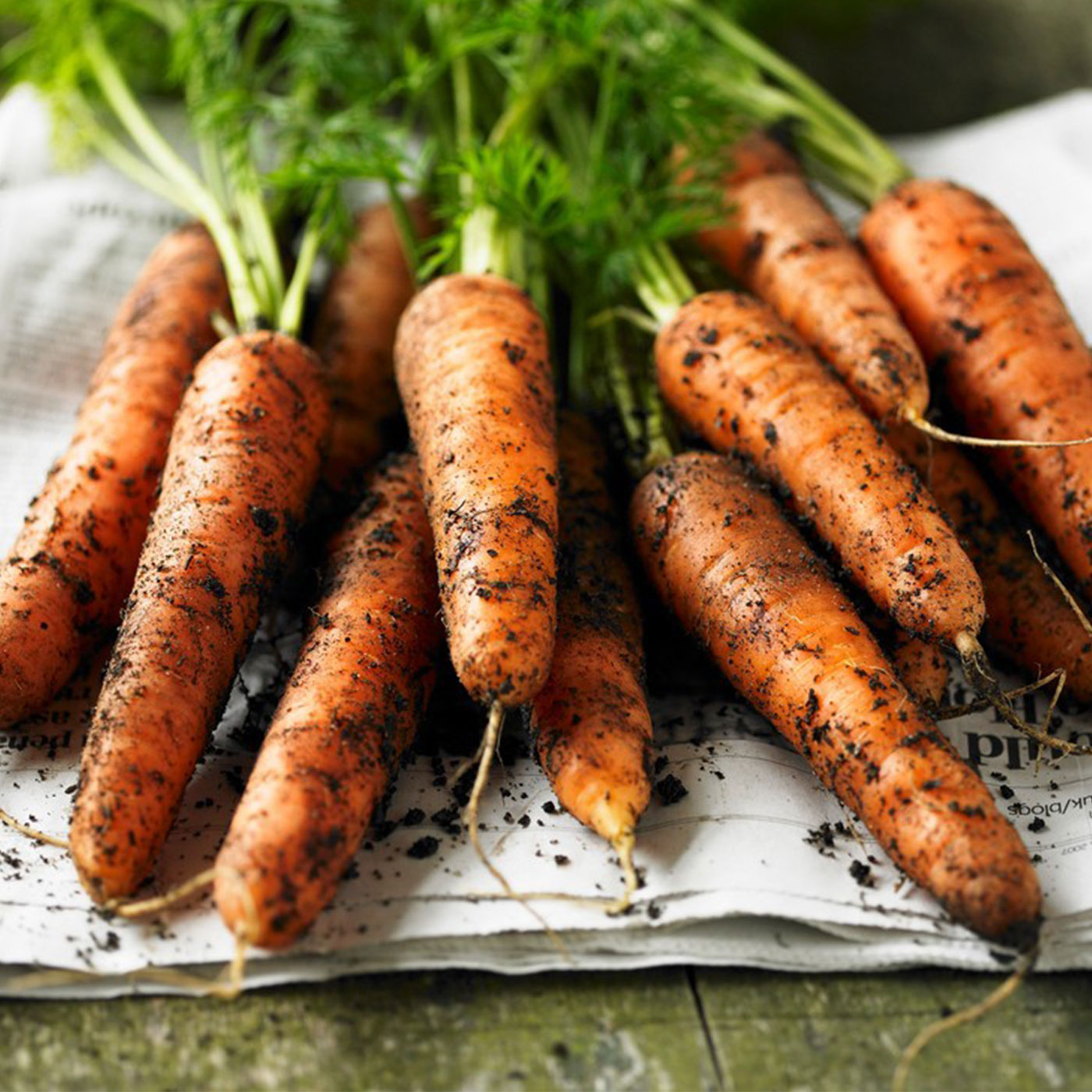 신선함을 담은 제철수확 국내산 당근