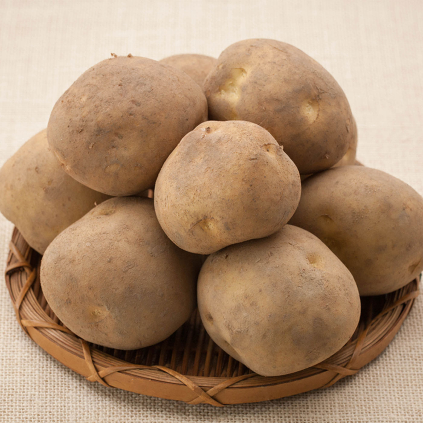 압도적 품질 쫀득이 감자