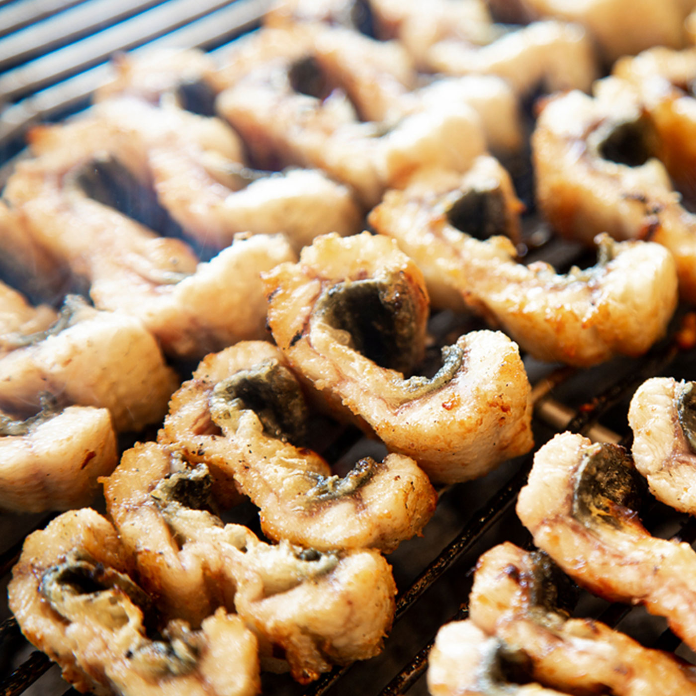 국내산 풍천 자포니카 장어 초벌구이