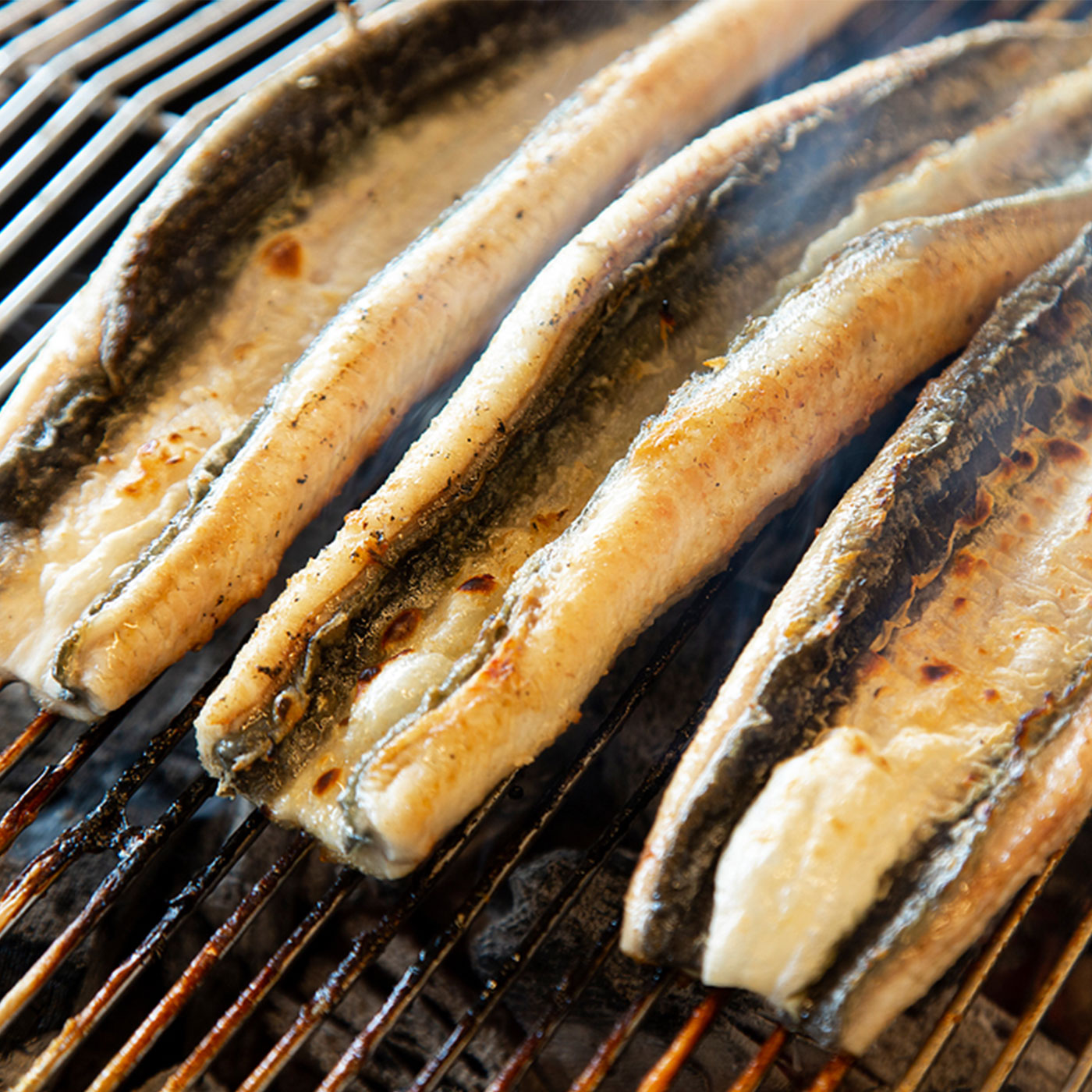 국내산 풍천 자포니카 장어 초벌구이