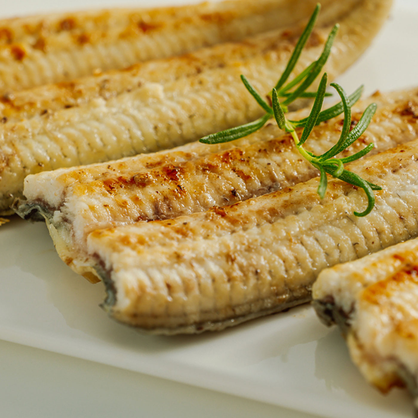 국내산 풍천 자포니카 장어 초벌구이