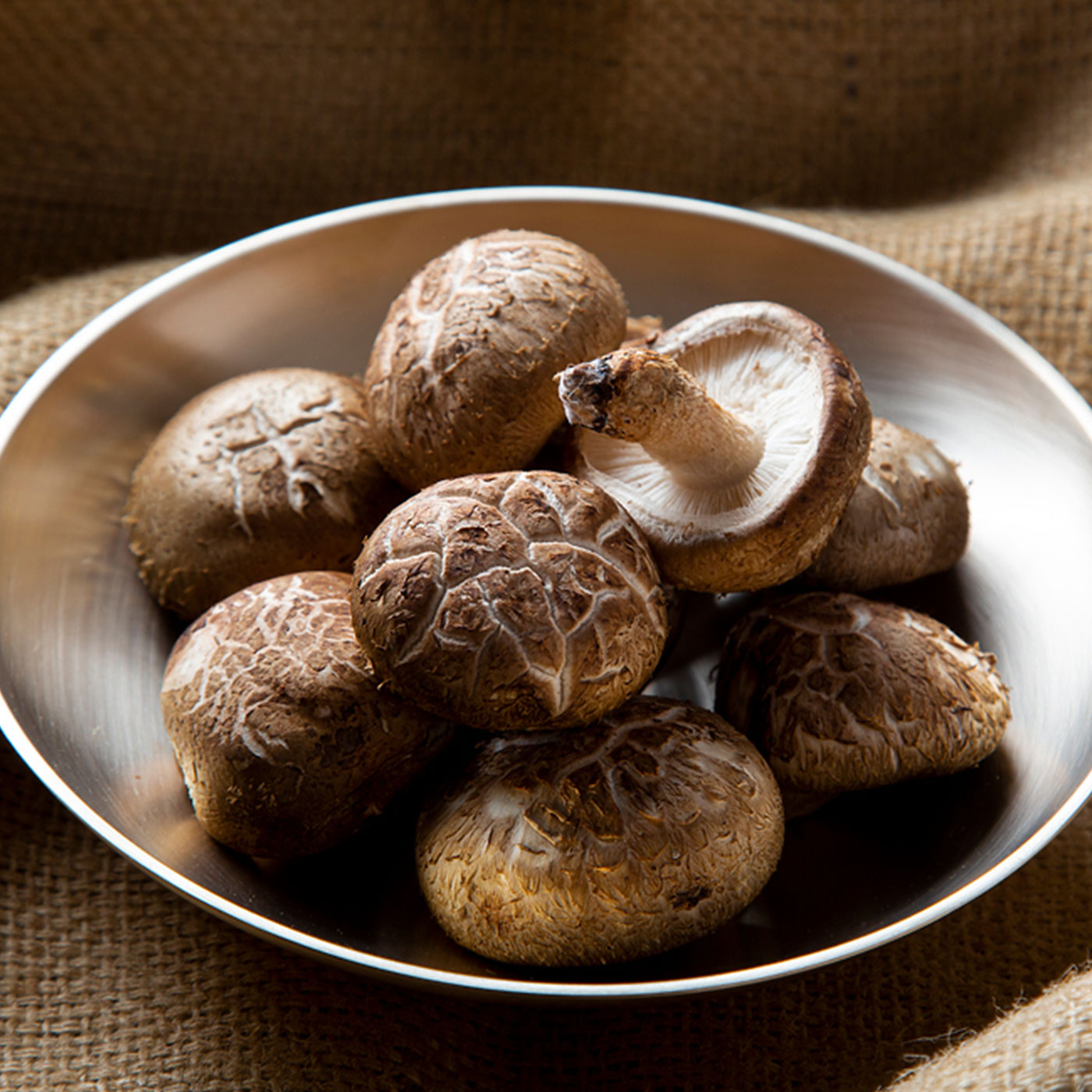 국산 참나무에서 자란 장흥 생 표고버섯