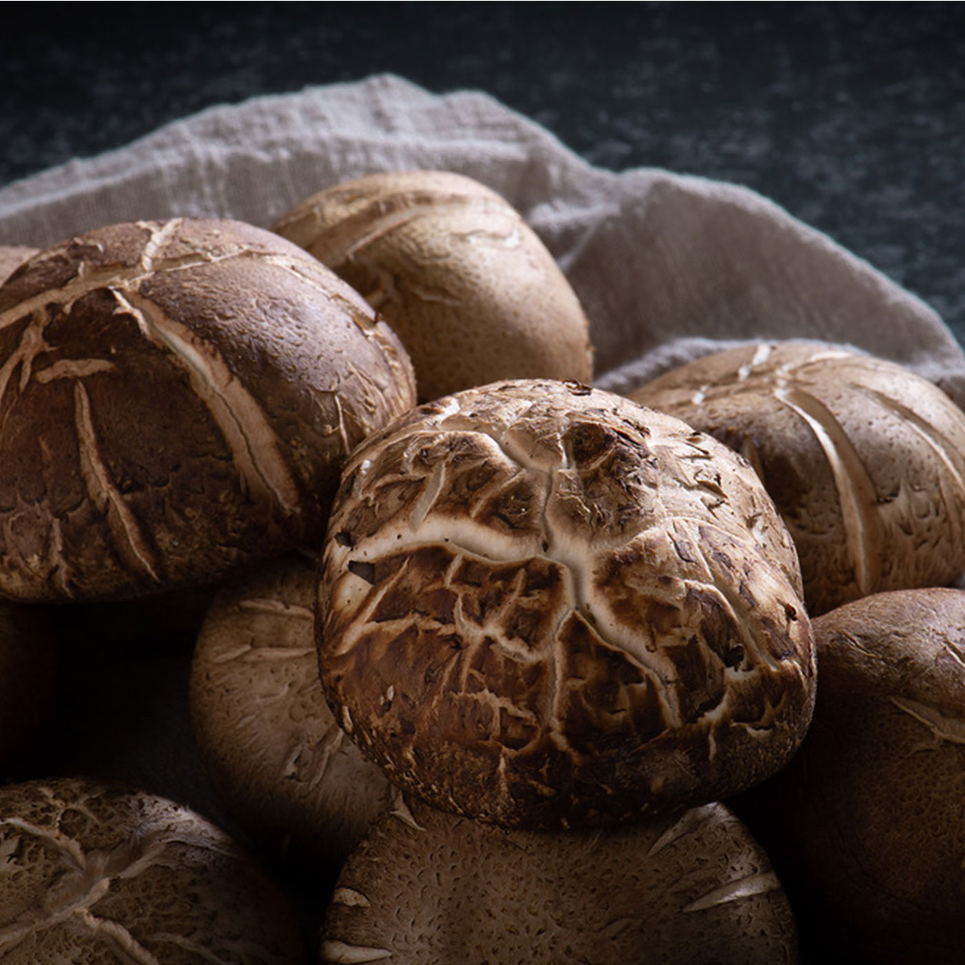 국산 참나무에서 자란 장흥 생 표고버섯