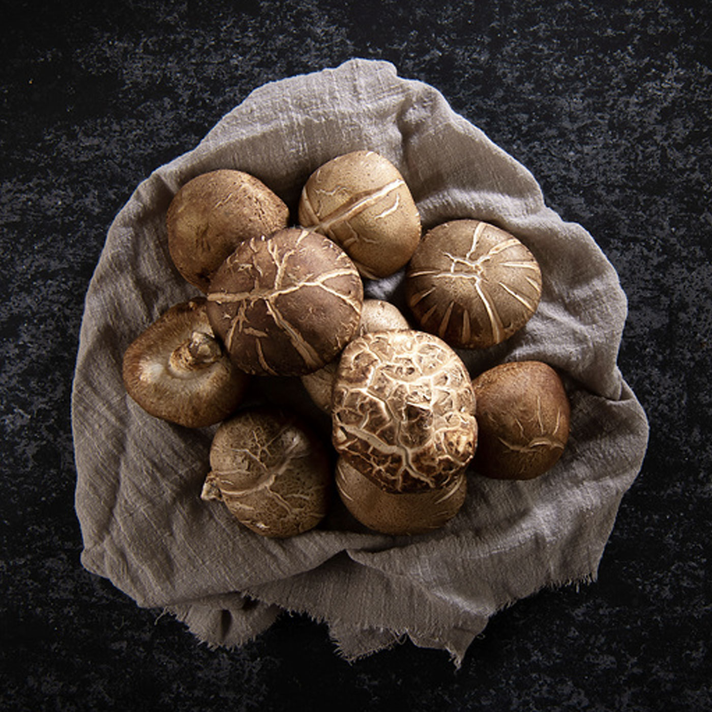 국산 참나무에서 자란 장흥 생 표고버섯