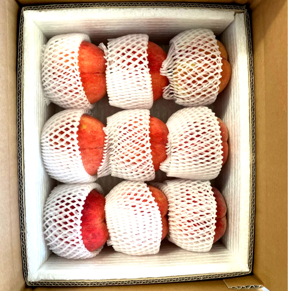 [해따온] 경북 영천 제철과일 딱딱이 말랑이 복숭아 2kg / 4kg