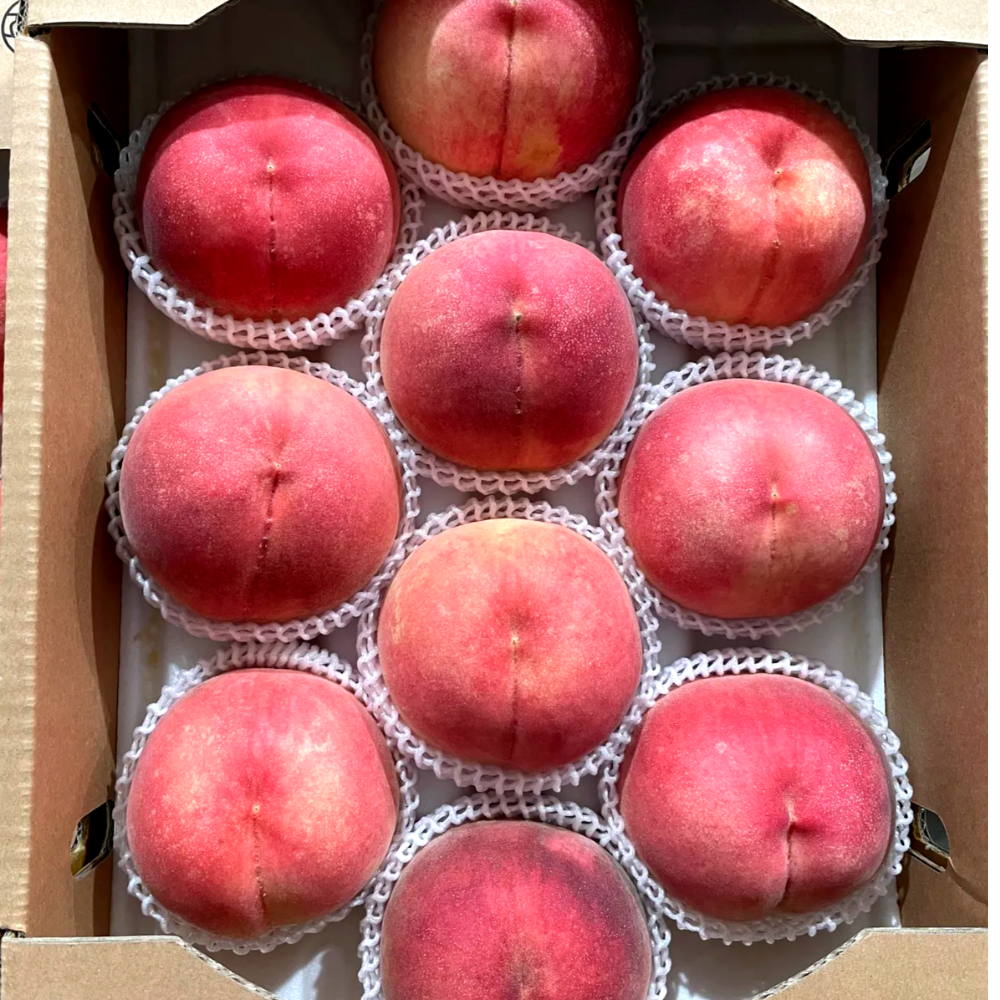 [해따온] 경북 영천 제철과일 딱딱이 말랑이 복숭아 2kg / 4kg