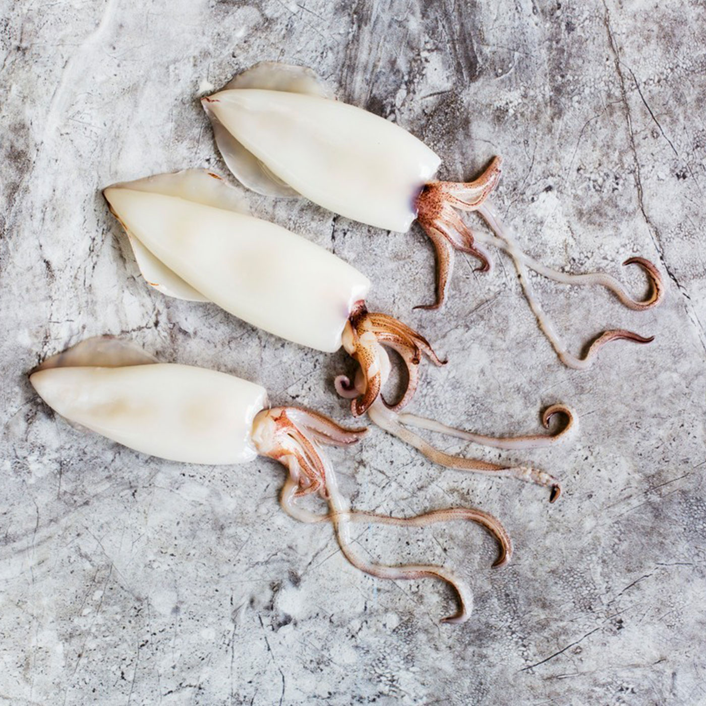 쫄깃 쫄깃 탱탱한 명품 제주 한치
