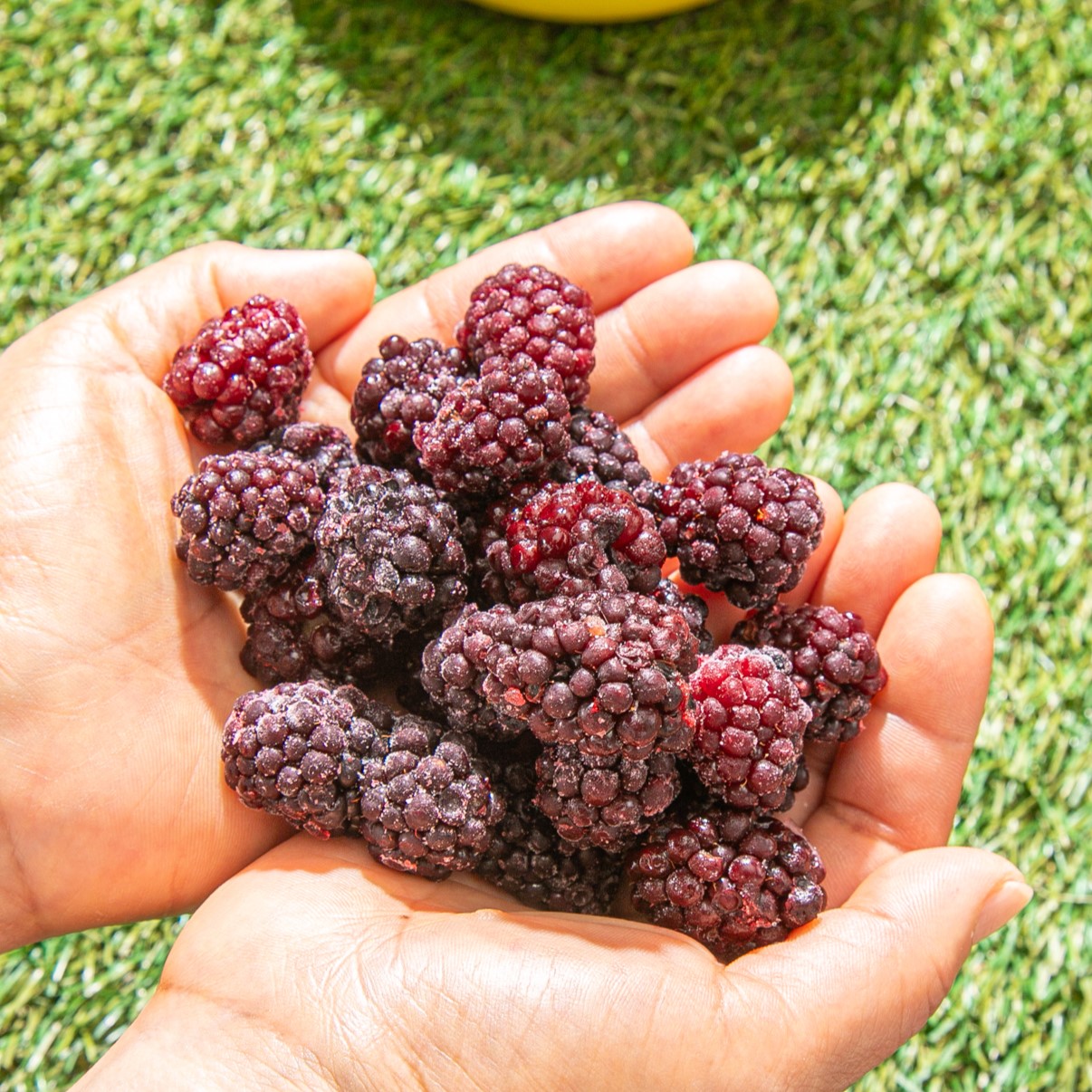 정읍 복분자 블랙베리 슈퍼복분자 급냉 1kg