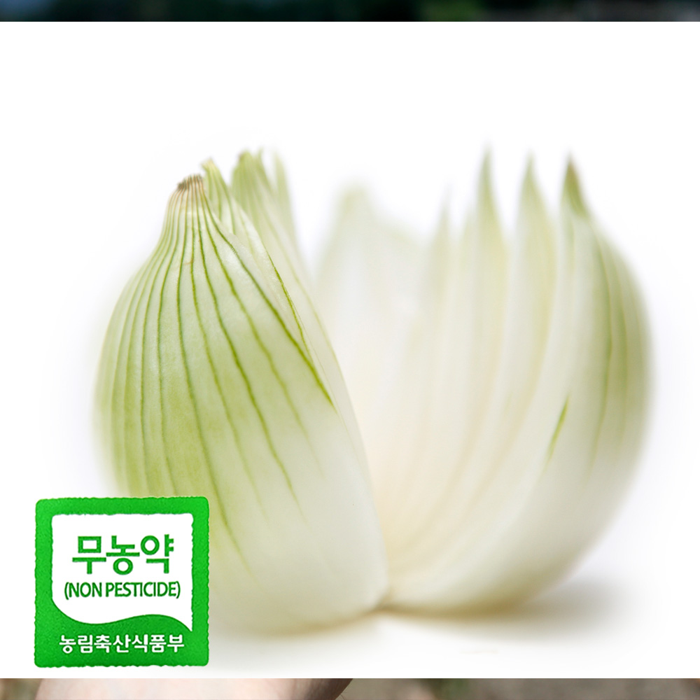 친환경 양파 중 2kg 3kg 5kg 국내산 햇 양파 아삭 달큰 무농약