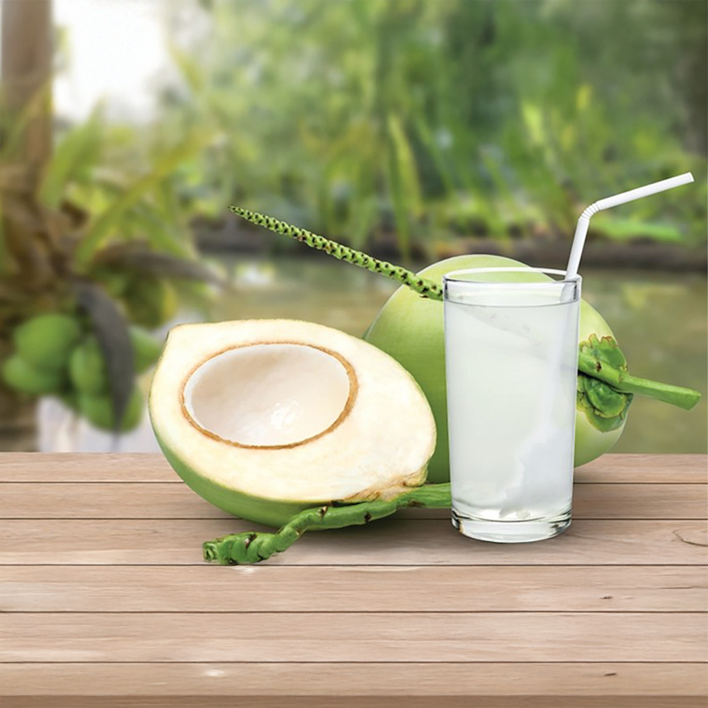 코문 유기농 천연 코코넛워터 100% 500ml