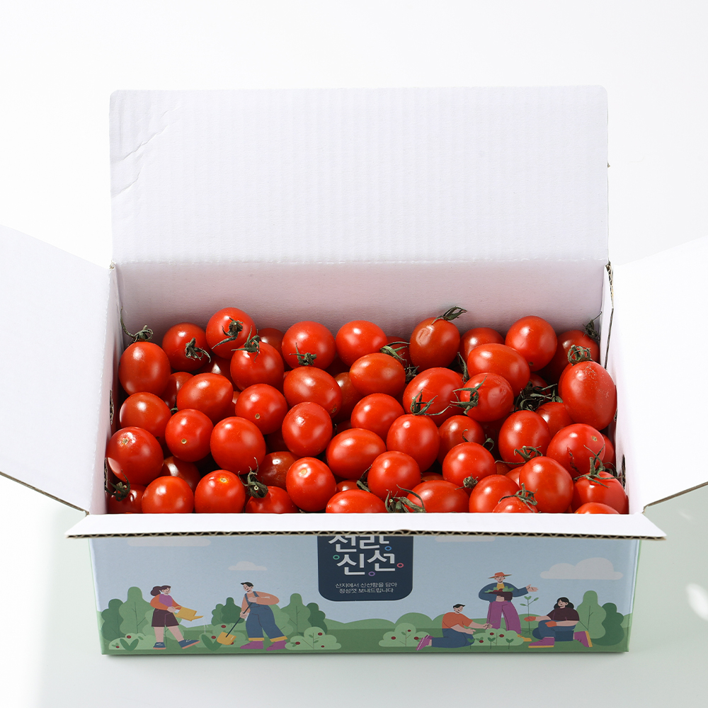 [통통농장] 국내산 대추 방울토마토 (1kg/2kg) (박스벌크포장)