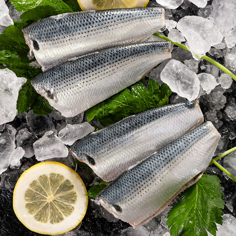 통영 횟감용 손질전어 전어회 600g (손질후 실중량 300g)