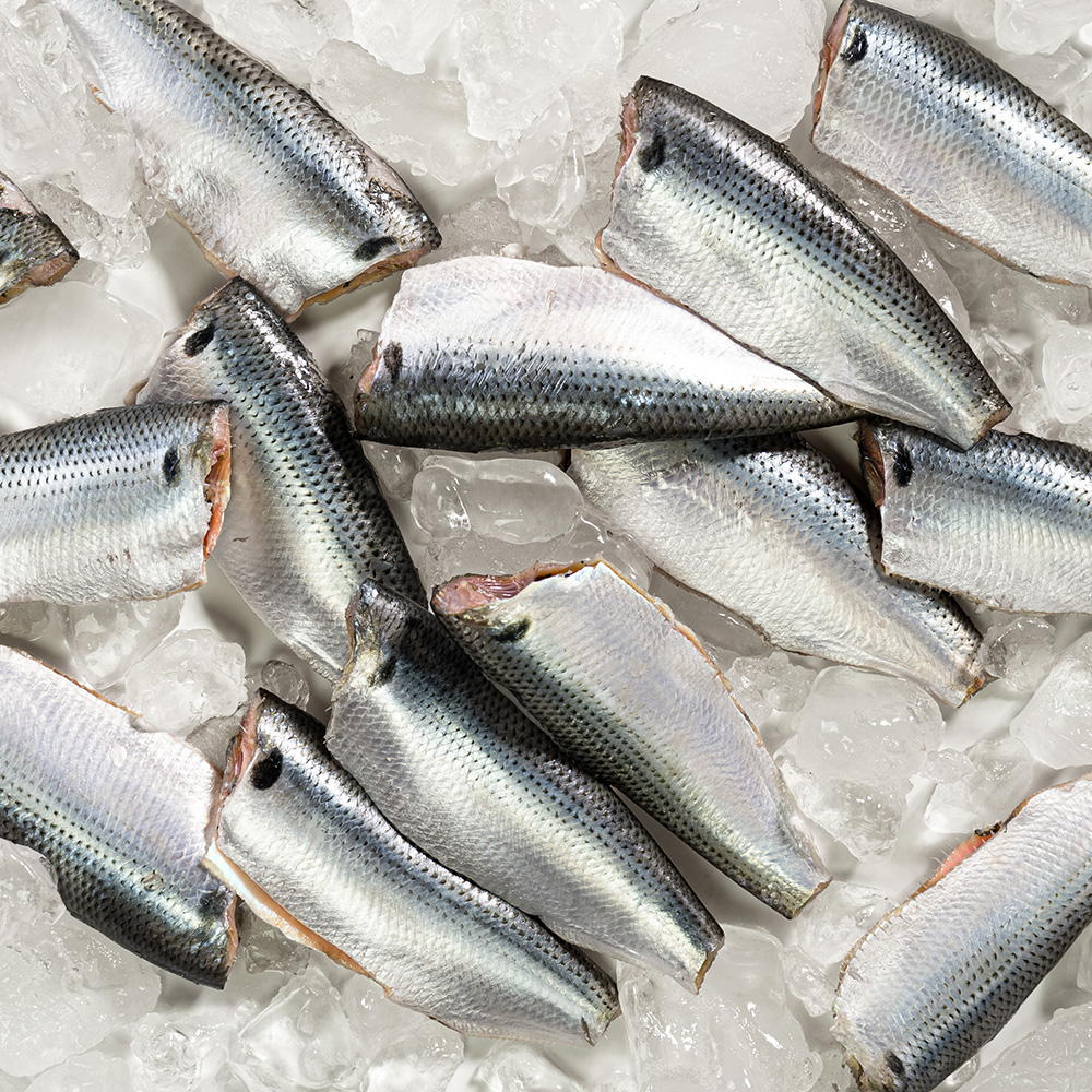 통영 횟감용 손질전어 전어회 600g (손질후 실중량 300g)