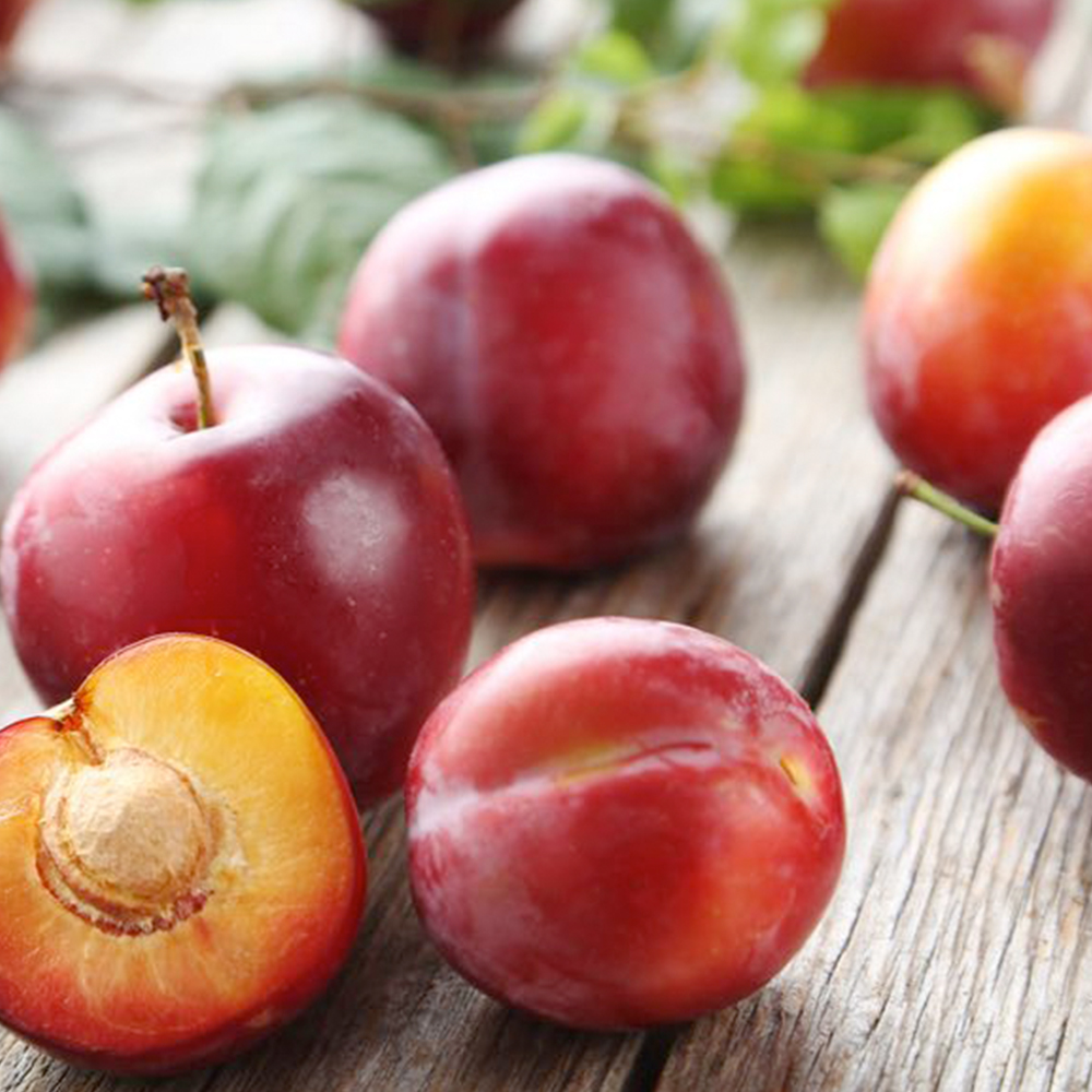 [건실농장] GAP인증 프리미엄 와촌 자두