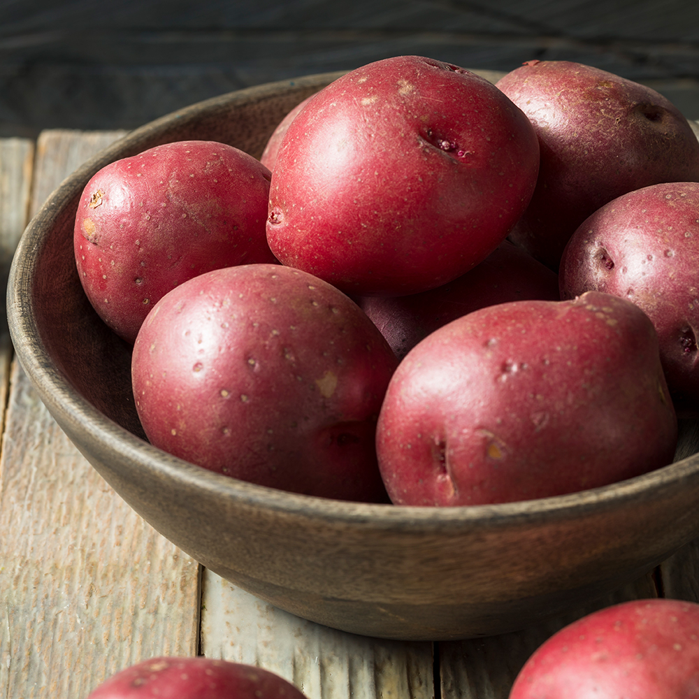 [외할머니밥상]포슬포슬 달큰한 국내산 햇 카스테라 홍감자 3kg 분감자
