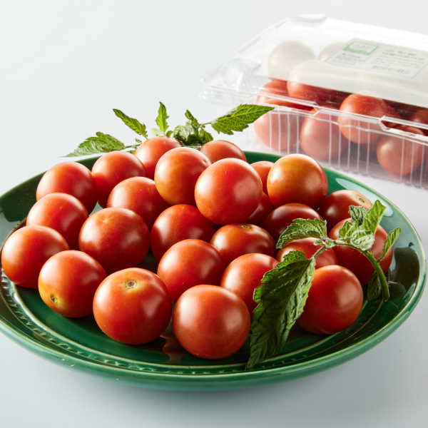 GAP 네뷸라 애플토마토(500g)