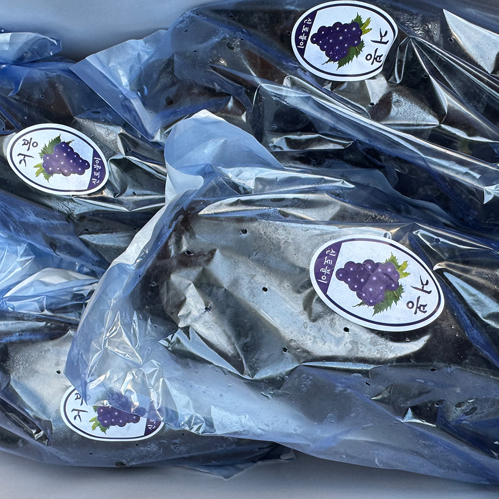 [당도보장] 고당도 거봉 포도 탱글 거봉 1kg 2kg