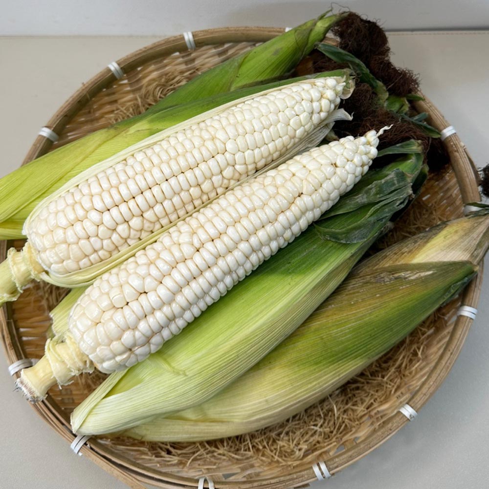GAP 인증 국내산 미백 찰옥수수 특품 14cm 이상 5-25개입
