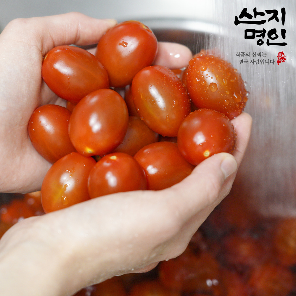 [산지명인] 국내산 대추 방울토마토 로얄과 2kg 당일수확 선별포장 당일발송