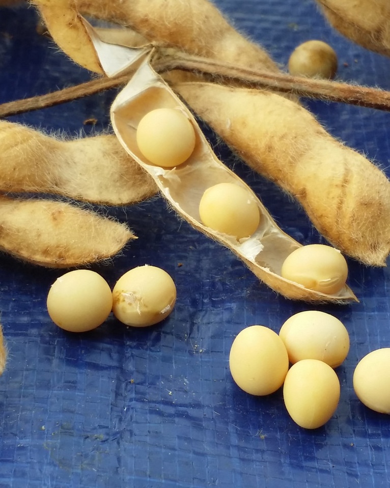국내산원재료 100% 전통식품품질인증 맛있는 집된장 운두란 한식된장 480g