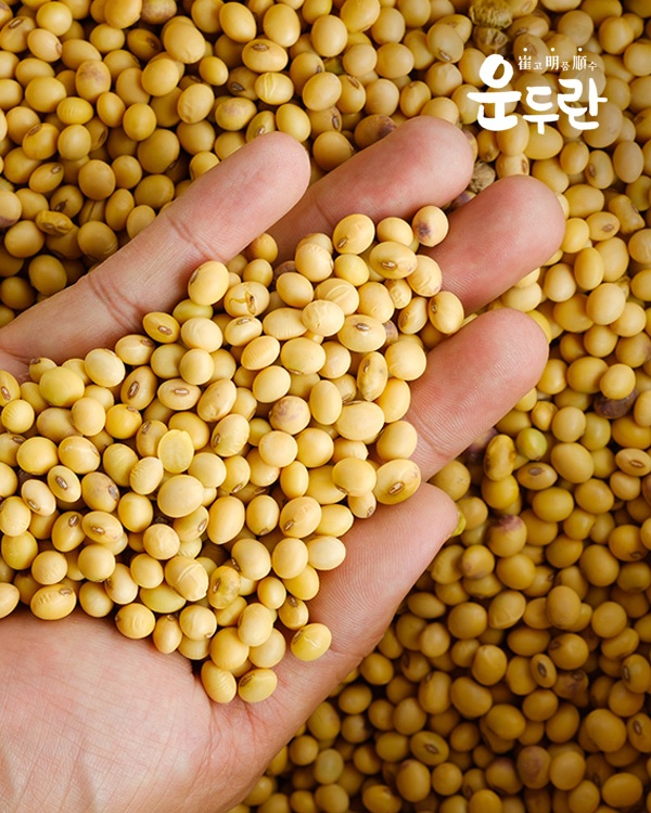 전통식품품질인증 예산콩100% 운두란 청국장 200x4