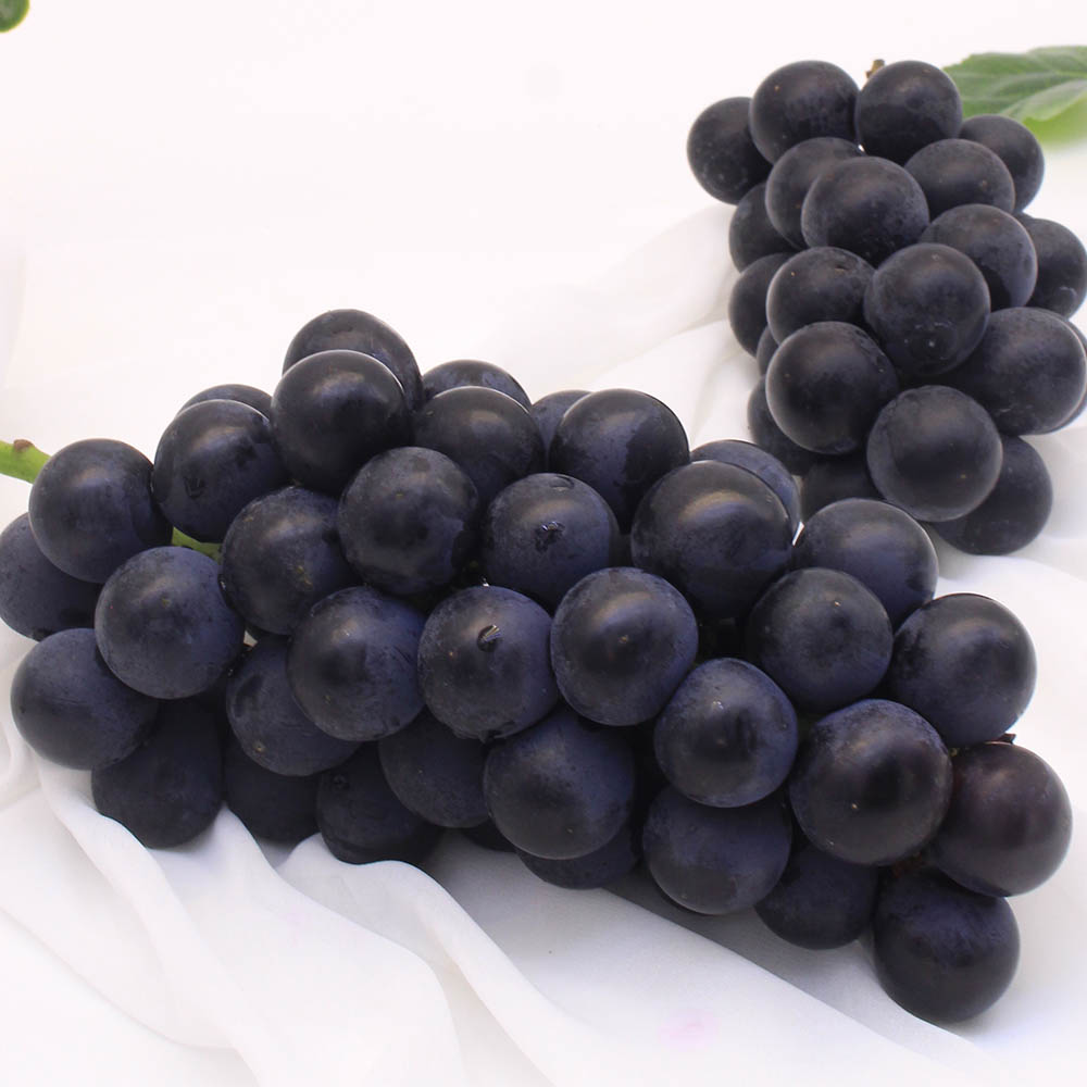 국내산 김천 거봉 포도 1kg 2-3수 2kg 4-5수
