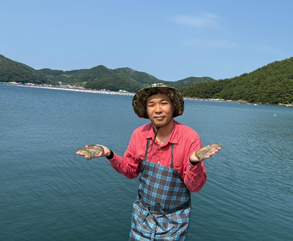 일등푸드 국내산 제철 흰다리새우 1kg 왕새우 새우철
