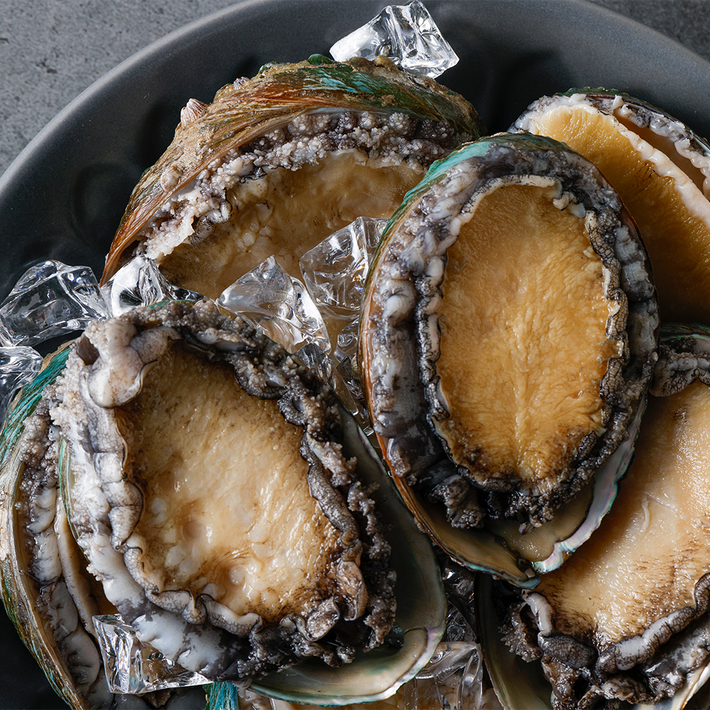 산지직송 완도 활전복 1kg (산소포장)