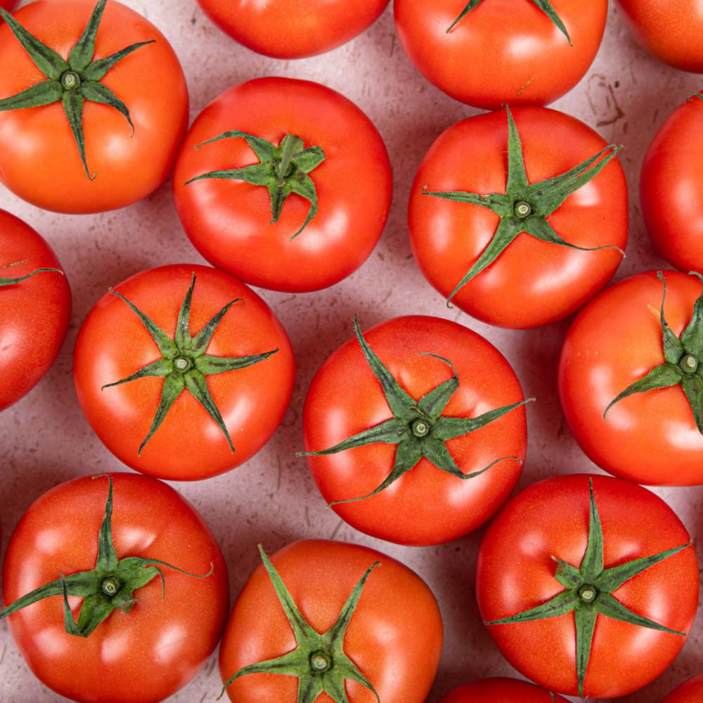 세계10대푸드 국내산 완숙 찰 토마토 1~5kg