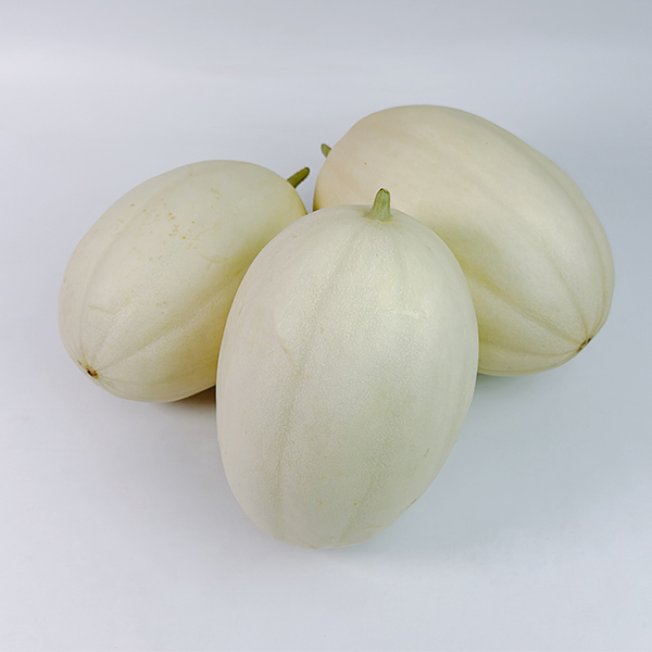 [메론최고] 설원 메론 눈처럼 달콤 2kg 3kg 5kg 사이즈 혼합