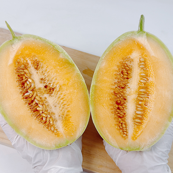 [메론최고] 설원 메론 눈처럼 달콤 2kg 3kg 5kg 사이즈 혼합