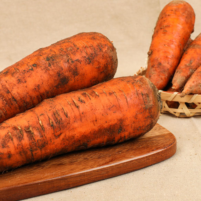 경남 하우스 갓 수확한 햇 당근 흙당근 3kg 5kg