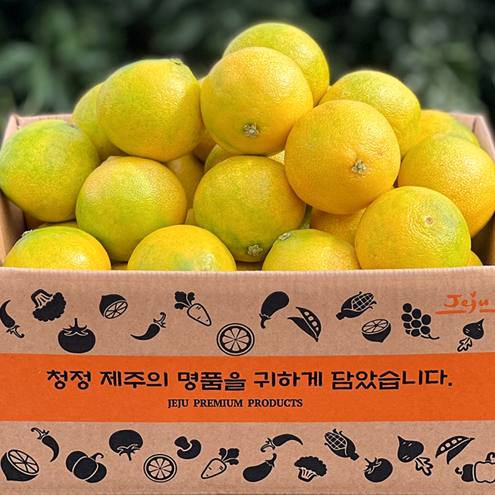[햇땅] 제주 황금향 가정용 선물용 택1 대표이미지 섬네일