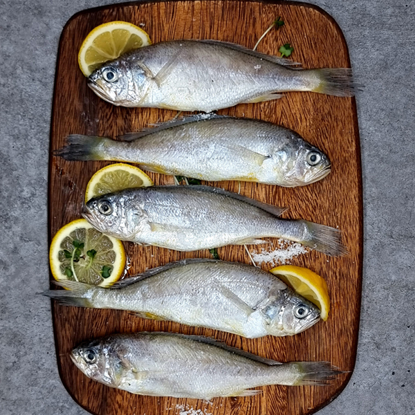 동명상회 국산 여수 손질 참조기 5미(420g내외)