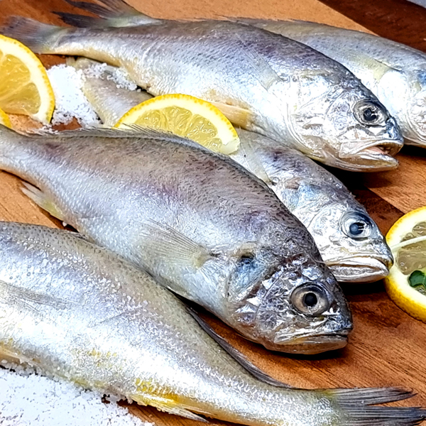 동명상회 국산 여수 손질 참조기 10미(840g내외)