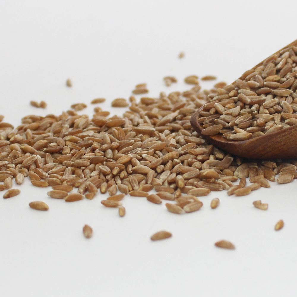 (24년산) 파로 엠머밀 1kg 엠마밀 고대곡물