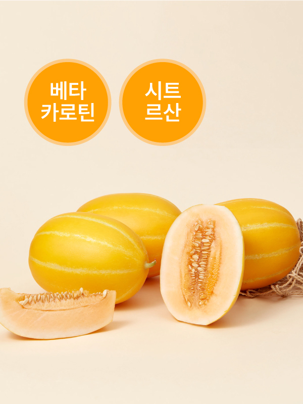 비채 비타참(900g 내외)