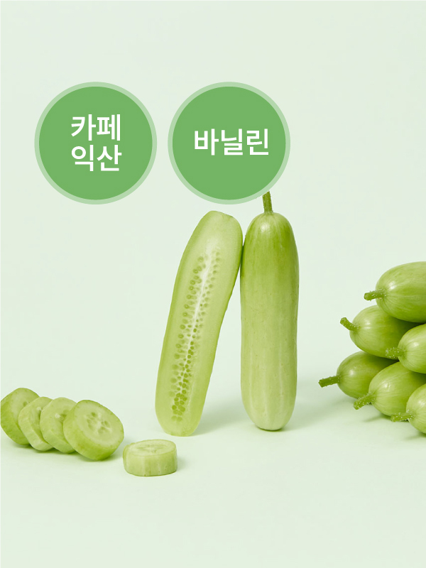 비채 슬림핏 미니오이(500g)