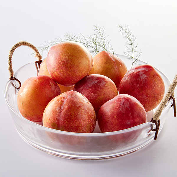 [13brix] GAP저탄소 황제자두(7입/1kg) 대표이미지 섬네일