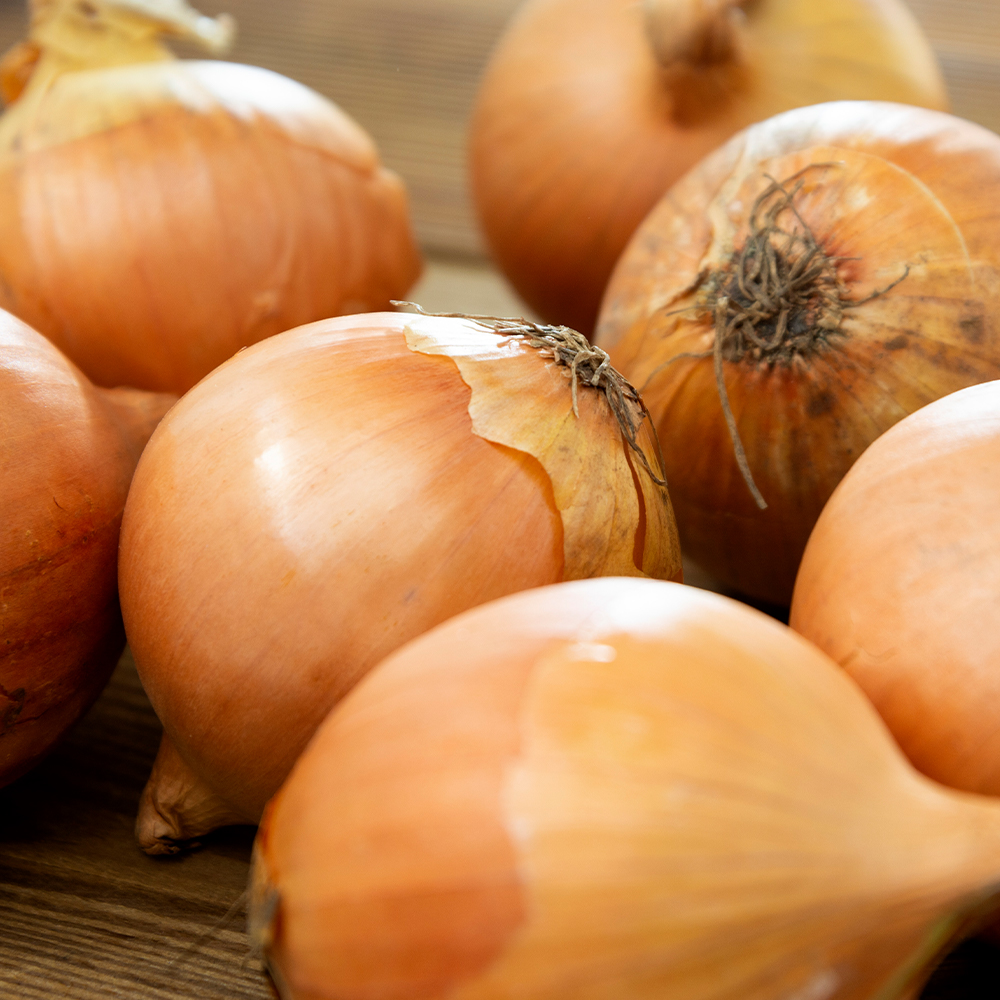 단단하고 아삭한 국내산 햇 양파 5kg