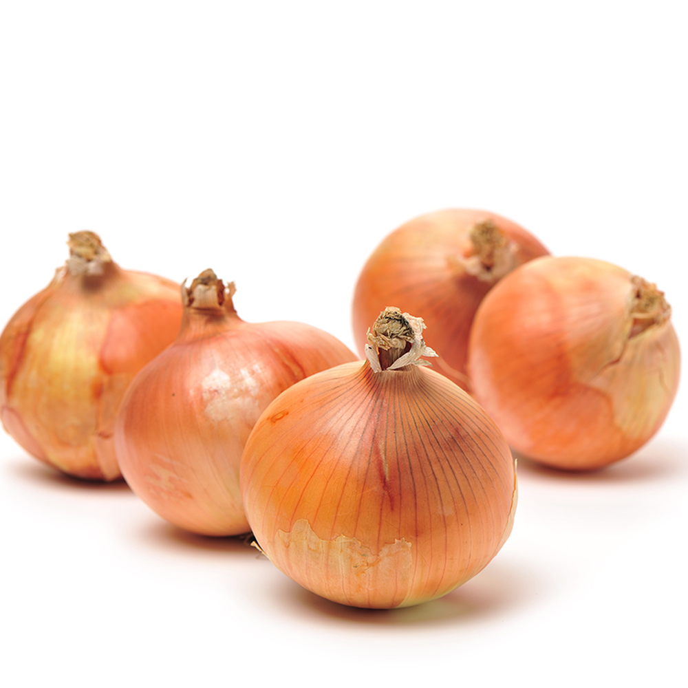 단단하고 아삭한 국내산 햇 양파 5kg