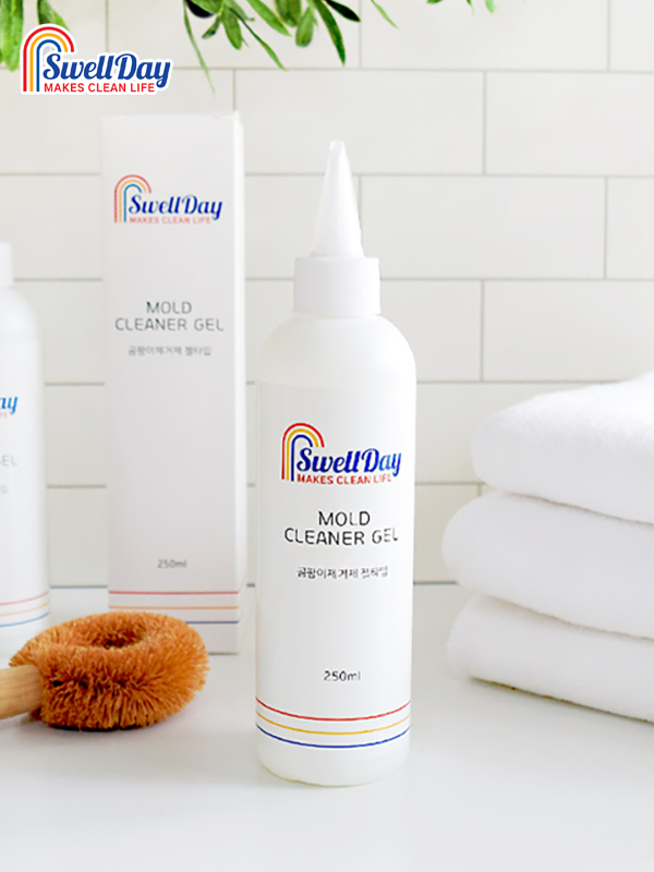 스웰데이 곰팡이제거제 고농축젤 250ml 2개