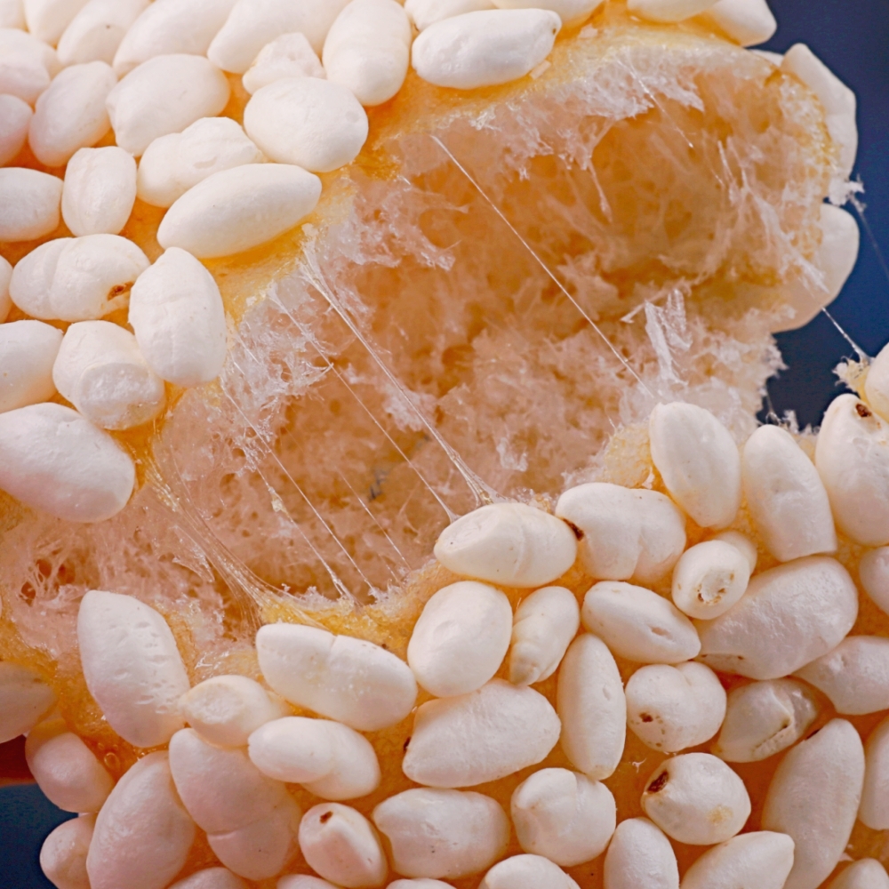 백석올미마을 매실한과