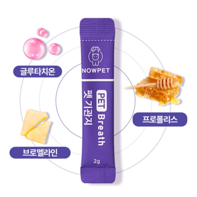 돌리스 강아지 기침 감기 기관지 영양제 재채기 호흡기 협착증 증상 약 4주