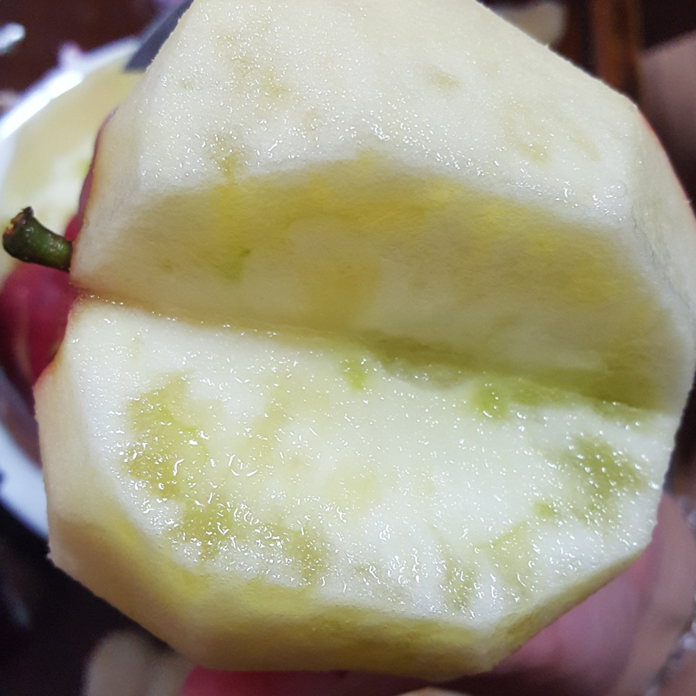 햇 수확 아삭달콤한 청송 사과 1kg 3kg 5kg