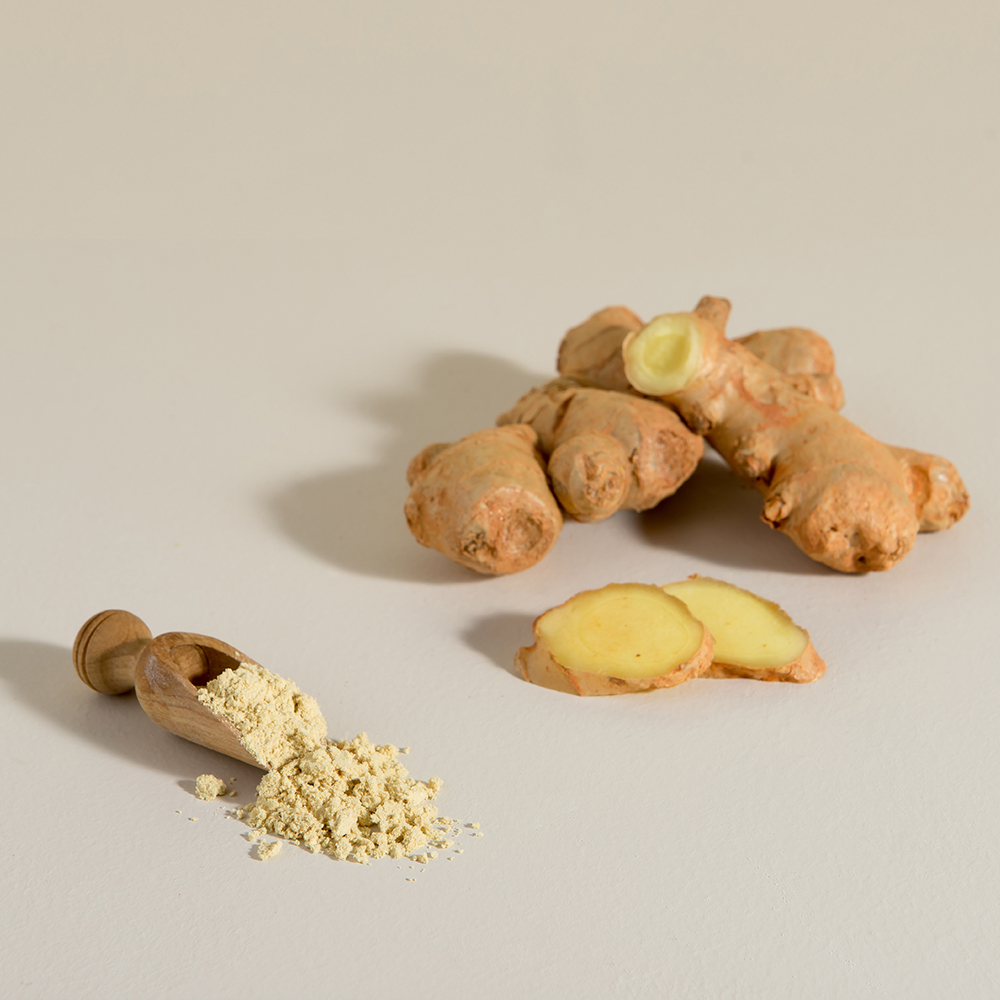 [머시스 키친] 동결건조 마늘 생강가루