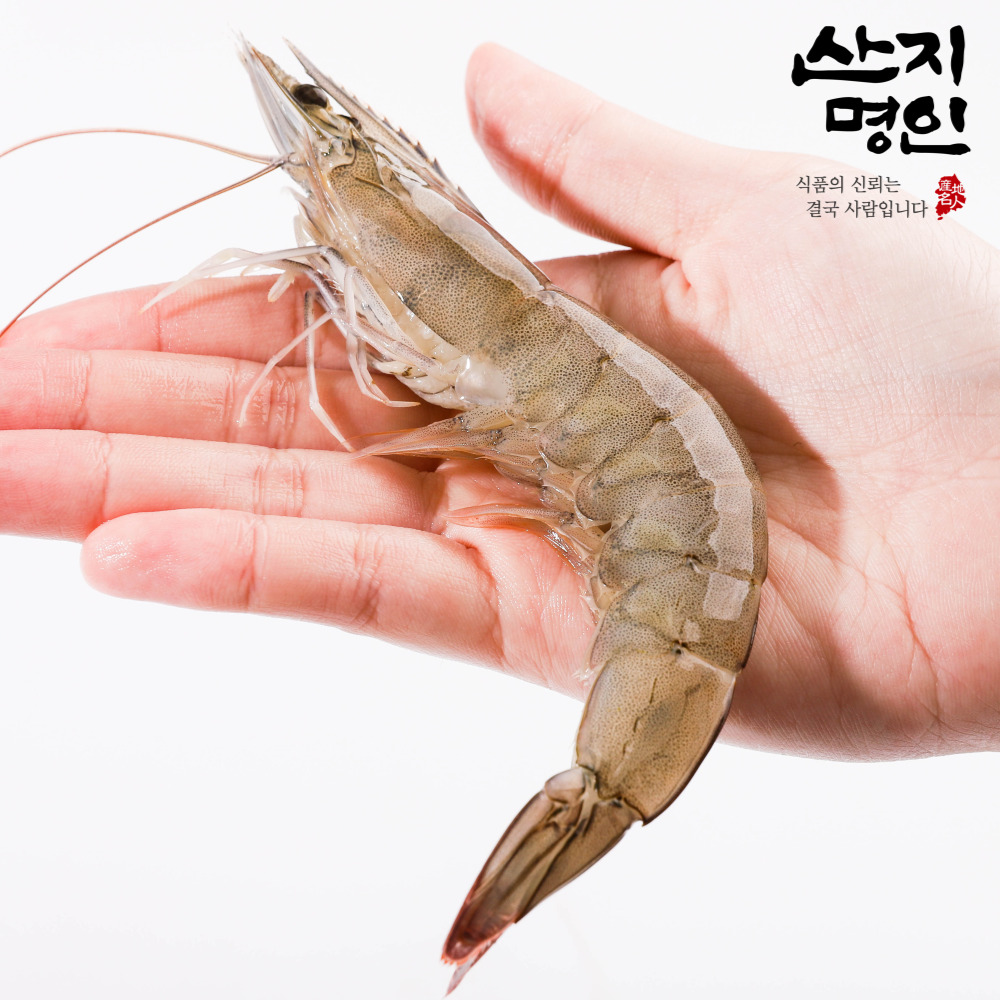 [산지명인] 국내산 활 새우 1kg 30-35미 내외 초신선 빙장포장 2025 첫출하