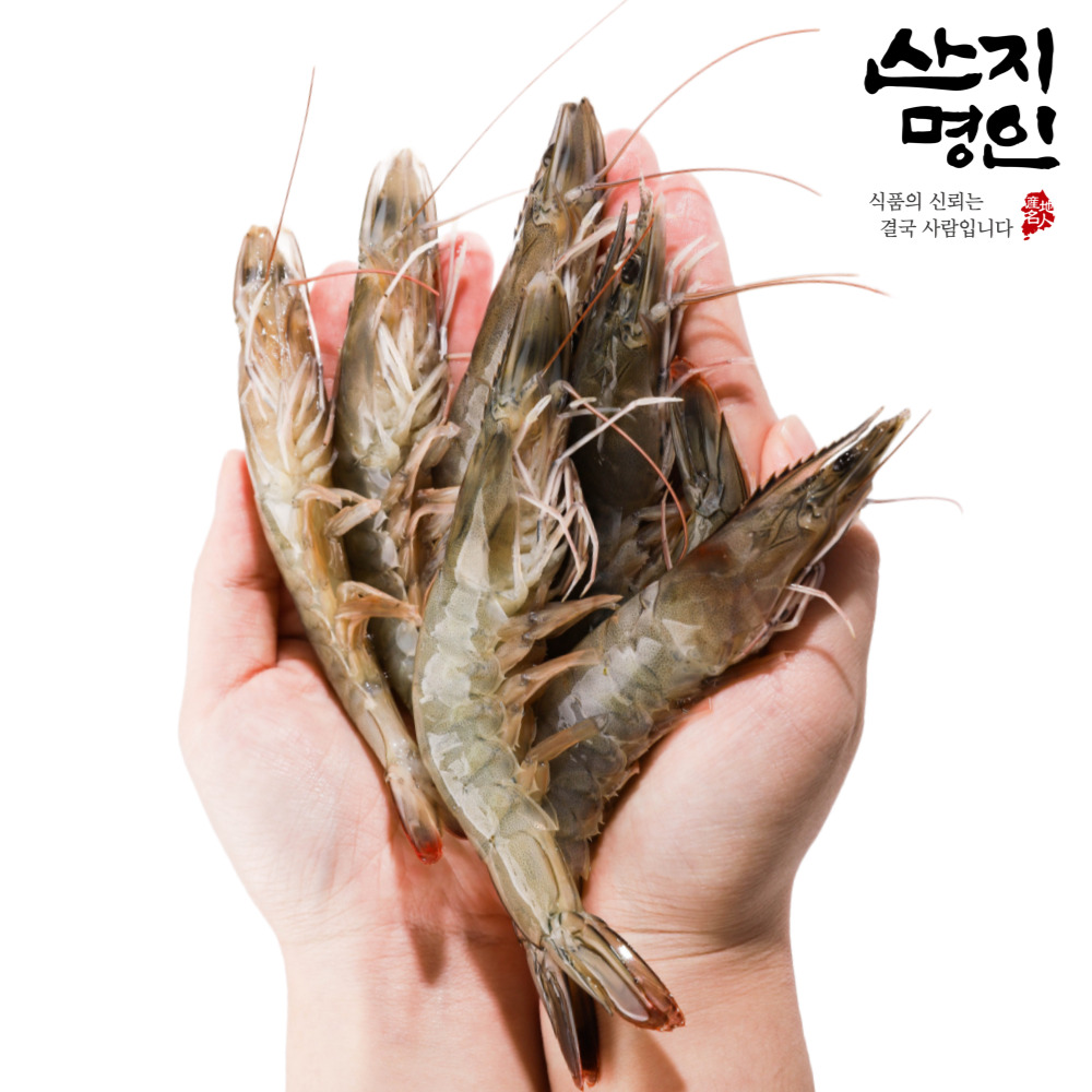 [산지명인] 국내산 활 새우 1kg 30-35미 내외 초신선 빙장포장 2025 첫출하